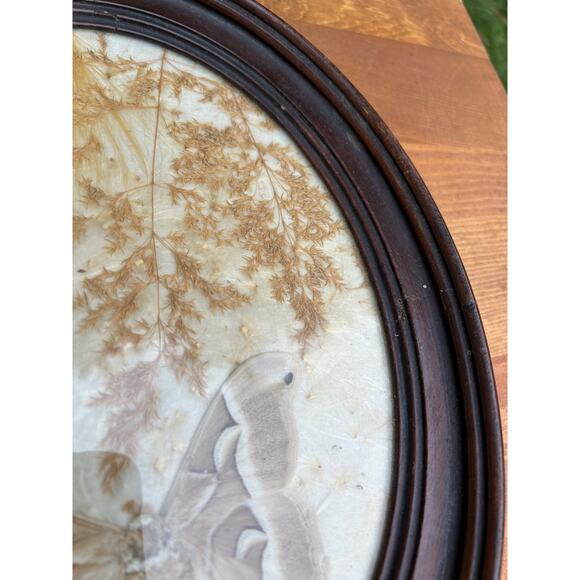 Vintage pressed butterfly and flower simple oval wood frame bubble glass - Picture 11 of 16